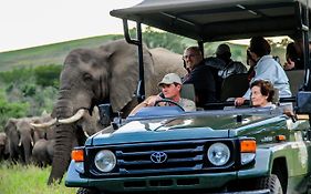 Thula Thula Exclusive Private Game Reserve & Lodge